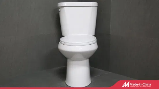 Louças sanitárias da China As 10 principais marcas Guangzhou Upflush Made Toilet Set Sit